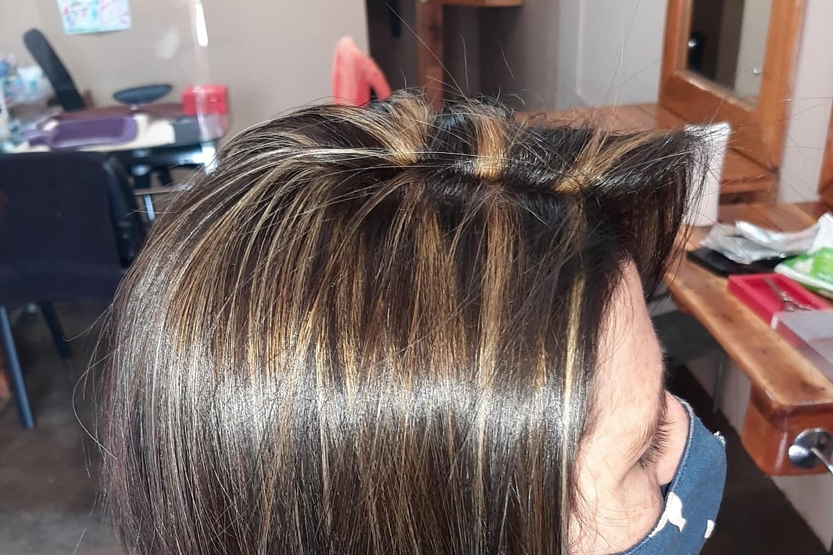 Salon Harvias