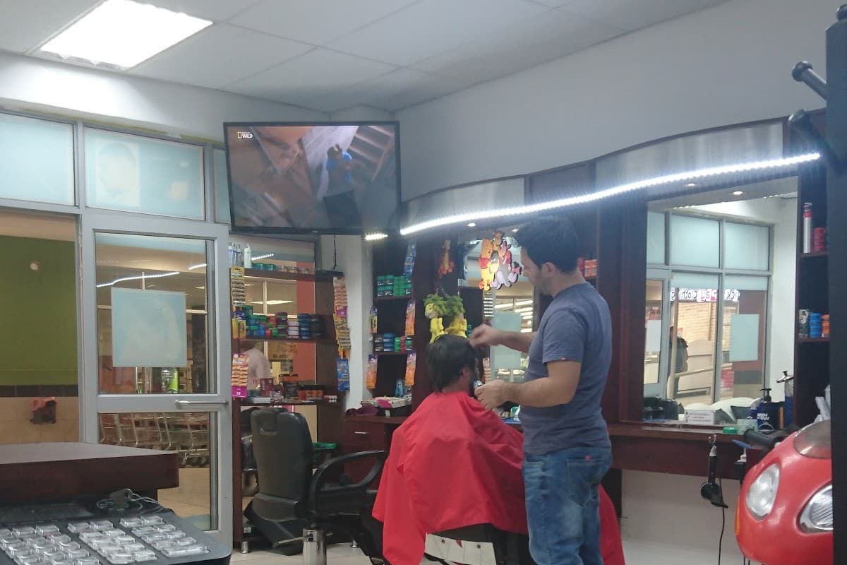 Willows Barber