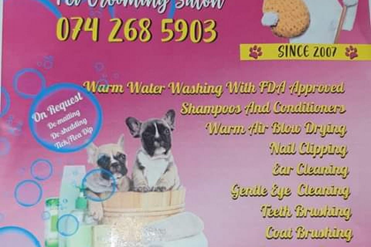 Dogs Heaven Grooming Salon